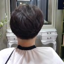 젊어지는 미용실