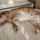 전주한옥마을너울가지 이미지