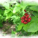 아담과이브 이미지