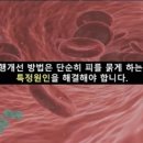 자연가 이미지