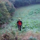 보현목장 이미지