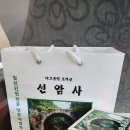 청아편백