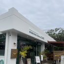 아사히 | 오키나와 브런치카페 - Morning bowls cafe 아사히볼 &amp; 포케 후기
