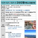 11/29-12/1제주항공으로 규슈단풍여행 이미지