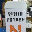 파파인 이미지