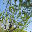 월현농장 이미지