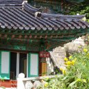 대자연횟집 이미지