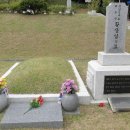 국립대전현충원 티스토리