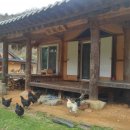 계영당 민박 이미지