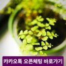 선산고등학교 이미지