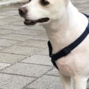 뉴엘동물의료센터 이미지