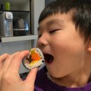 손수김밥 조례홈플러스점 | 순천 조례동 맛있는 손수김밥집 맛집 추천 호수공원 왕조동 포장 배달