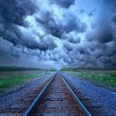 팡팡과일 이미지