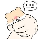 로온체형교정
