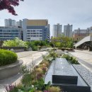 내츄럴스페이스 이미지