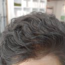 천연머리염색 세이프존 이미지