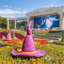 홍익대학교 영상대학원 이미지