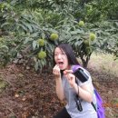 수현농장 이미지