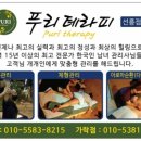푸리테라피
