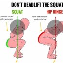 몸짱만들기 GYM 이미지