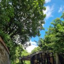 샘온천 | 대만온천여행 베이터우 지열곡 온천박물관 다녀온 후기