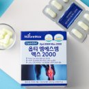 파니몰스토어 이미지