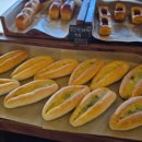 오베르망 이미지