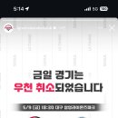 다영호프