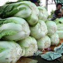 향토할인마트 이미지