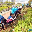 온천천시민공원 동백 이미지