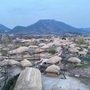 인동초민박