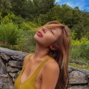 제시