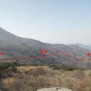 신선대 입구 임도 이미지