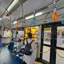 2020-주146 이미지