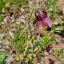 산매농장 이미지