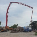 더 평대 이미지