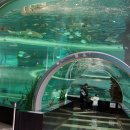 부산해양박물관 이미지