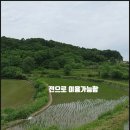 현애리농장 네이버블로그