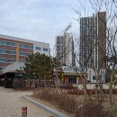 세담초등학교 이미지