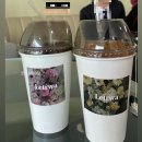 르트와 이미지