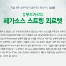 페가소스스트링 콰르텟 초청공연 이미지