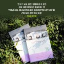 [돌베개] 사계절문학상, 비룡소 블루픽션상 수상작가 최상희 시작, 『속눈썹, 혹은 잃어버린 잠을 찾는 방법』 출간 이미지