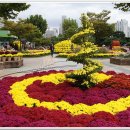 부천중앙공원 광장 이미지