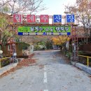 월계수캠핑장 이미지