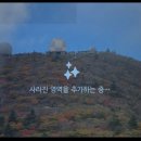 (주)케이원티 | 갤럭시 S25 울트라 실사용 후기,10개월 사용 카메라 디스플레이 Spen 등