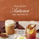 폴바셋강남삼성타운점 네이버블로그