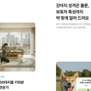 엄마 잘 다녀와 이미지