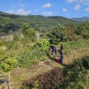 산남스테이 이미지