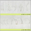 비가헤어 이미지