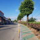 일신아파트앞 이미지